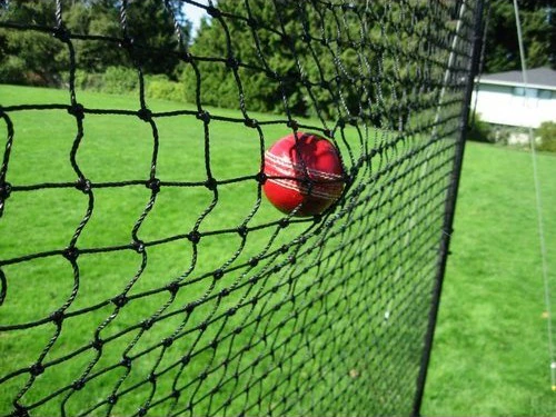 Cricket ball caught in a high-tensile practice net